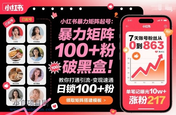 小红书暴力矩阵起号，教你打通引流-变现速通，日锁100+粉，破流量黑盒-小白项目分享网