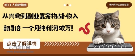 从兴趣到副业靠宠物占卜收入翻3倍一个月纯利润破W-小白项目分享网