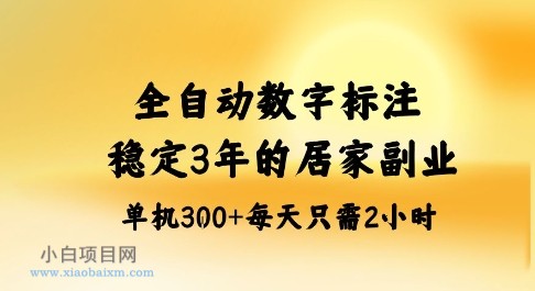 全自动数字标注，稳定3年的蓝海项目，居家也能矩阵开干的副业，单机日入3张+【揭秘】-小白项目分享网