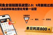 闲鱼变现课3.0：掌握链接优化、流量提升、商业变现，单日利润800+-小白项目分享网