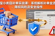 淘宝小类目补单实战课：系统解析补单全流程、降权风险及安全操作-小白项目分享网