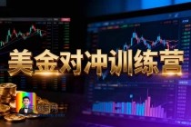 美金对冲日盈利100+美刀，长期稳定，小白也可以轻松上手-小白项目分享网