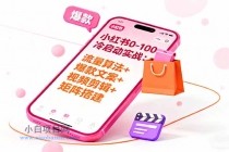 小红书0-100冷启动实战:流量算法+爆款选品+爆款文案+视频剪辑+矩阵搭建-小白项目分享网