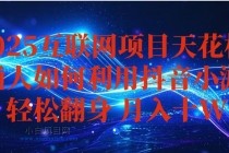 抖音小游戏变现玩法，小白也能月入躺赚10w+ ，长期稳定，可矩阵放大-小白项目分享网