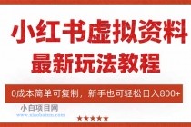 小红书虚拟资料项目：最新搜索流变现玩法，0成本简单可复制，一人多店…-小白项目分享网