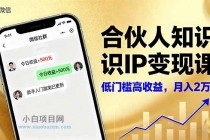 合伙人知识IP变现课，微信生态,内容创作与爆款打造,全网引流，新手月入2w+-小白项目分享网