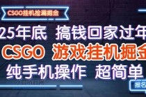 25年底搞钱回家过年，CSGO游戏挂机掘金，纯手机操作超简单-小白项目分享网