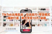 「TikTok出海实战」引流技巧+带货模式+爆款打造，单月变现10万+秘籍-小白项目分享网