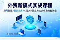 外贸新模式实战课程，账号搭建+截流技术+AI矩阵+独家方法实现自动化获客-小白项目分享网
