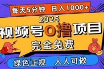 2025视频号0撸项目，5分钟一个号，日入1000+，人人可做-小白项目分享网