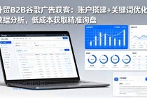 外贸B2B 谷歌广告获客：账户搭建+关键词优化+数据分析 低成本获取精准询盘-小白项目分享网