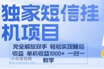 2025全新电脑挂机项目  操作简单，单机当天收益1000+，收益无上限，可…-小白项目分享网