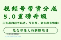 视频号带货分成5.0重磅升级，三天暴利起号玩法，今日发，明天就有钱赚…-小白项目分享网