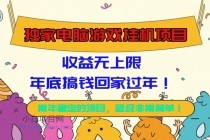 独家电脑游戏挂机项目，收益无上限，年底搞钱回家过年！-小白项目分享网
