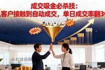吸金成交营销必杀技：从客户接触到自动成交，单日成交率翻3倍-小白项目分享网