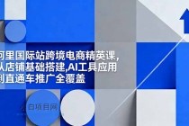 阿里国际站跨境电商精英课，从店铺基础搭建,AI工具应用到直通车推广全覆盖-小白项目分享网