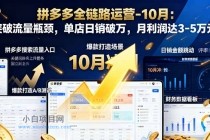 拼多多全链路运营-10月：突破流量瓶颈，单店日销破万，月利润达3-5万元-小白项目分享网