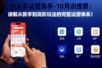 拼多多运营高手-10月训练营:讲解从新手到高阶玩法的完整运营体系!-小白项目分享网
