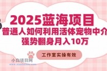 2025蓝海项目：普通人如何利用活体宠物中介，强势翻身月入10万-小白项目分享网