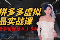 2025 拼多多虚拟品系统实战课，轻资产项目，可矩阵开工作室，新手也能…-小白项目分享网