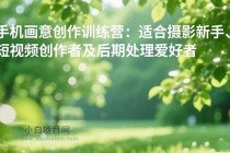 手机摄影之画意创作训练营：适合摄影新手、短视频创作者及后期处理爱好者-小白项目分享网