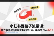 小红书野路子流量课：暴力起号+批量获客+聚光打法，单账号月入3万+-小白项目分享网