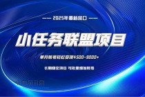 小任务联盟项目：一台电脑每天只需10分钟，轻松简单稳定-小白项目分享网