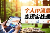 个人IP流量变现实战课，涵盖多平台引流、打造个人IP并实现稳定流量变现-小白项目分享网