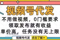 视频号代发，不用做视频，0门槛要求，领取发布就有收益，单价高，任务…-小白项目分享网