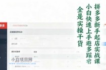 拼多多新手起店实战课：小白快速上手拼多多运营，避开踩坑，全是实操干货-小白项目分享网