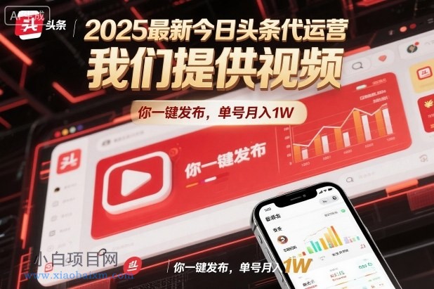 【匠心小白】2025最新今日头条代运营，我们提供视频，你一键发布，单号月入1W【揭秘】-小白项目分享网