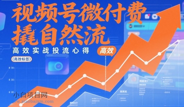 【匠心小白】视频号微付费撬自然流，高效实战投流心得-小白项目分享网