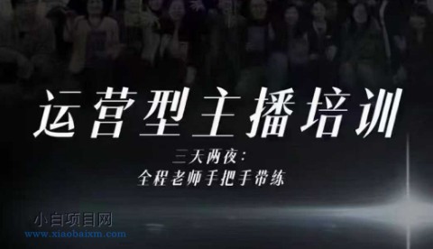 【匠心小白】婉婉运营型主播培训线下课，主播四大能力，十小时线下录像+字幕，内容比线上课干-小白项目分享网