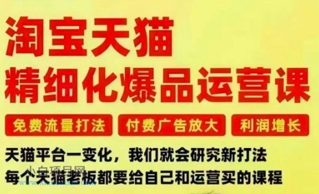 【匠心小白】淘宝天猫精细化爆品运营课，免费流量打法-付费广告放大-利润增长-三大核心痛点，一次全部解决-小白项目分享网