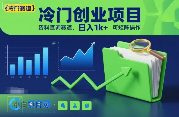 【匠心小白】冷门创业项目，资料查询赛道，日入1k+，可矩阵操作-小白项目分享网