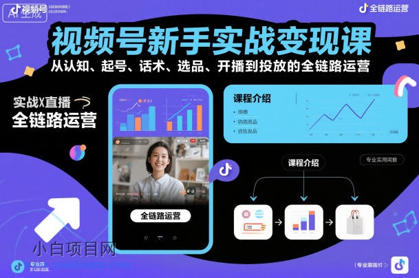 【匠心小白】视频号新手实战变现课，从认知、起号、话术、选品、开播到投放的全链路运营-小白项目分享网