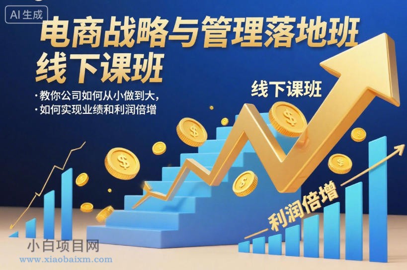 【匠心小白】电商战略与管理落地班线下课，教你公司如何从小做到大，如何实现业绩和利润倍增【录音】-小白项目分享网