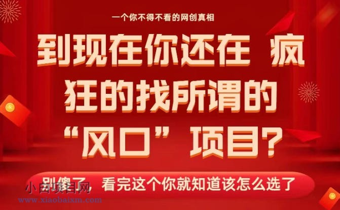 【匠心小白】马上26年了，你还在找所谓的风口项目？别傻了，看完这个你全都懂了！【揭秘】-小白项目分享网