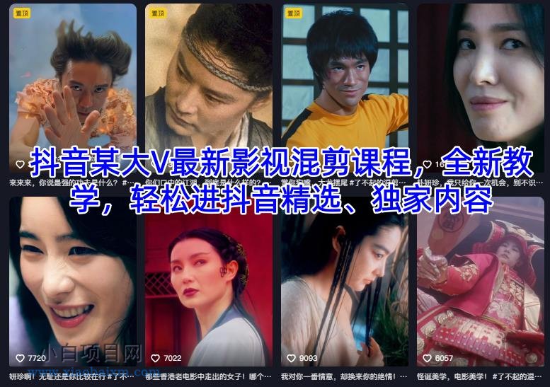 【匠心小白】抖音某大V最新影视混剪课程，全新教学，轻松进抖音精选、独家内容-小白项目分享网