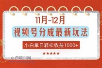 11月~12月视频号分成最新玩法，小白单日轻松收益1000+-小白项目分享网