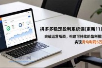 拼多多稳定盈利系统课(更新11月)，突破运营瓶颈，构建可持续的盈利模型，实现月均利润5万+-小白项目分享网