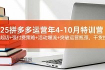 2025拼多多运营年4-10月特训营：暴力起店+强付费策略+活动爆流+突破运营瓶颈，干货拉满-小白项目分享网