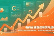 电商企业管理系统构建课：帮助企业建立高效运营系统，实现利润与规模的同步跃升-小白项目分享网