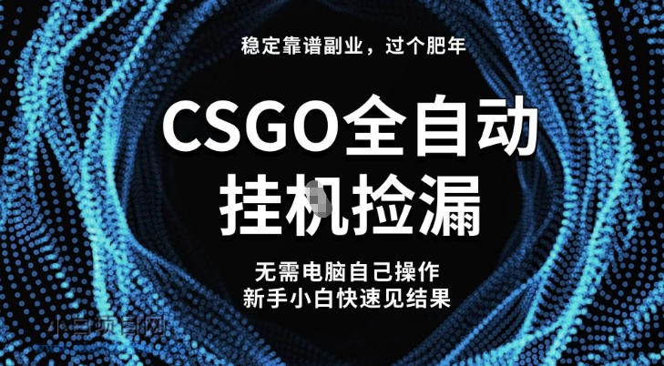 【匠心小白】【稳定副业】全球最热门游戏CSGO全自动捡漏，最新玩法，新手小白日入5张+【揭秘】-小白项目分享网