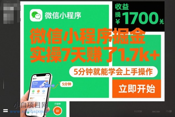 【匠心小白】微信小程序掘金，实操7天賺了1.7k+，操作简单，5分钟就能学会上手操作【揭秘】-小白项目分享网