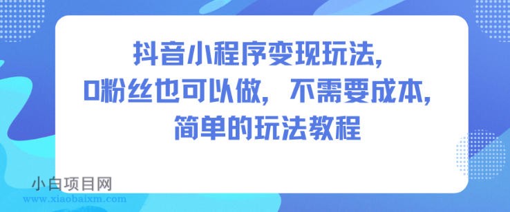 【匠心小白】抖音小程序变现玩法，0粉丝也可以做，不需要成本，简单的玩法教程-小白项目分享网
