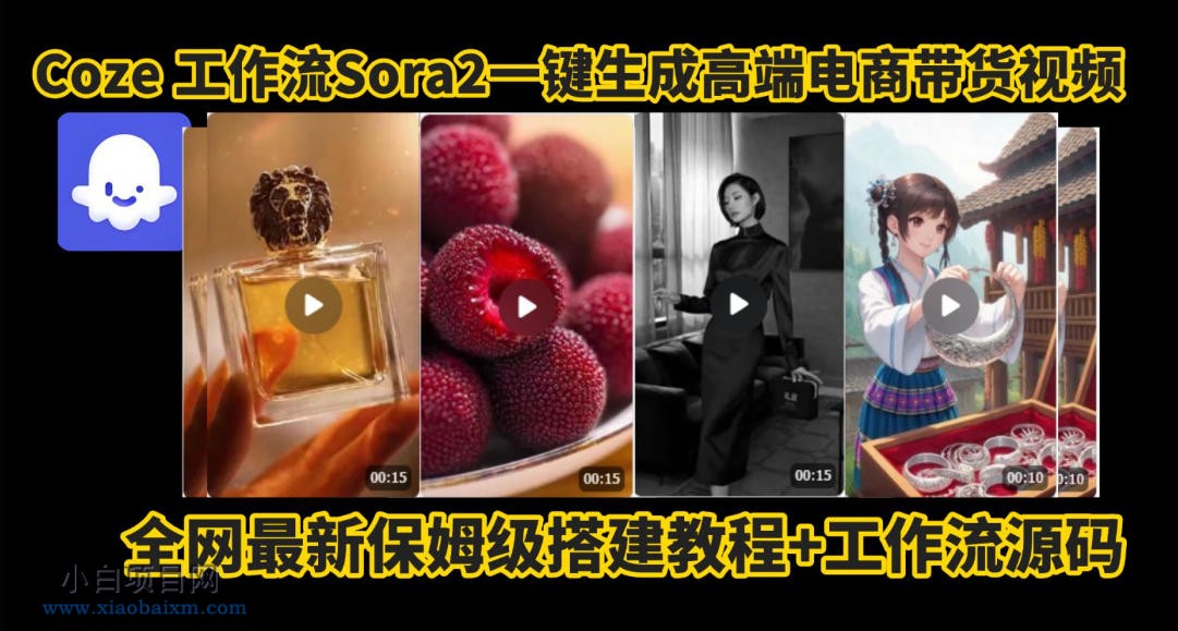 【匠心小白】coze智能体sora2一键生成电商带货高端视频工作流保姆级拆解教程，无需剪辑，无需拍摄-小白项目分享网