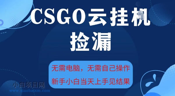 【匠心小白】CSGO云挂G全自动捡漏，最新独家玩法，无需电脑操作，新手小白日入5张+【揭秘】-小白项目分享网