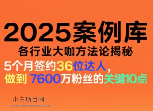 【匠心小白】2025案例库，收录各行业大咖的方法论，各行业大咖方法论揭秘-小白项目分享网