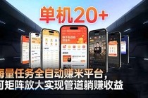 99盒子自动挂机项目，单机20+，可矩阵放大实现管道躺赚收益，推广可享团队收益-小白项目分享网
